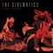 Cinema (Live In Dresden) - The Cinematics lyrics