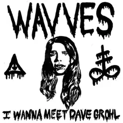 I Wanna Meet Dave Grohl - Single - Wavves