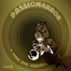 Passionardor - Disco's Revenge