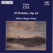 25 Preludes, Op. 64: No. 12 in E Flat Minor - Allegretto artwork