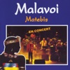 Matebis (Live)