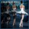 A Night At the Ballet