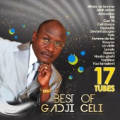 Best of Gadji Celi (17 tubes) artwork