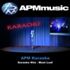 APM Karaoke - I'd Do Anything for Love (But I Won't Do That)