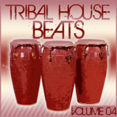 Tribal House Beats, Vol. 4 - Artisti Vari