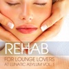 Rehab for Lounge Lovers @ Lunatic Asylum, Vol. 1