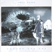 Trey Gunn - The Third Star (alternate mix)