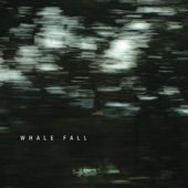 Whale Fall - Old County