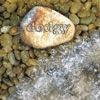 Down In the Flood / Forgive Me - Single