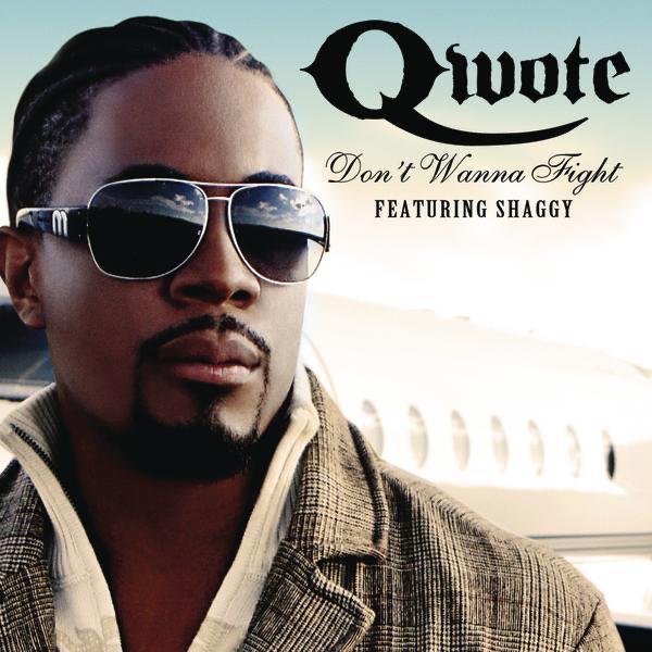 Don't Wanna Fight (feat. Shaggy) - Single - Qwote
