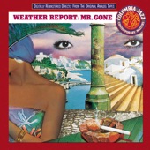 Weather Report - The Pursuit of the Woman With the Feathered Hat