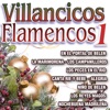 Villancicos Flamencos, 2009