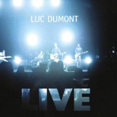 Luc Dumont : Live artwork