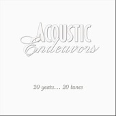 Acoustic Endeavors - More Than Life
