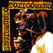 Balance De Daños - Segismundo Toxicómano lyrics