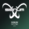 First Strike 2010 (Sebastian Brandt Remix) - Signum lyrics