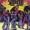Scientist - Midnight Special