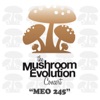 Mushroom Evolution Concert