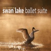 Tchaikovsky: Swan Lake, Op. 20, 2010