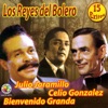 Julio Jaramillo - Te Odio Te Quiero