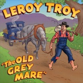 Leroy Troy - Down The Dixie Line