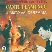 Historia del Cante Flamenco, Vol. 1 artwork
