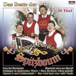 D'Original Oberpfälzer Spitzboum - Fern bei Dortmund