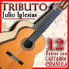 Tributo a Julio Iglesias, 12 Éxitos Con Guitarra Española