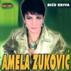 Bicu Kriva (Bosnian and Herzegovian Music)