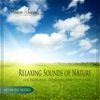 Nature Sounds - Relaxing Ocean Waves