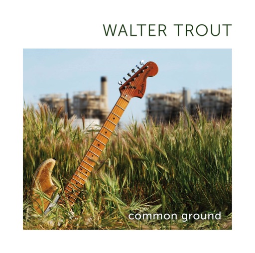 Art for Common Ground by Walter Trout