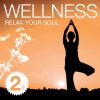 Wellness - Relax Your Soul Vol. 2