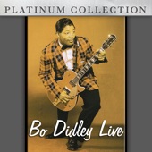 Platinum Collection: Bo Didley Live artwork