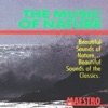 The Music of Nature