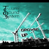 Tsuumi Sound System - Northling