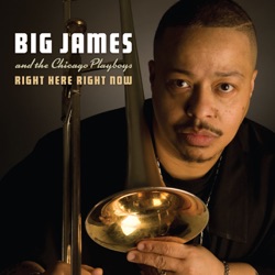 Big James And The Chicago Playboys - I Love 'Em