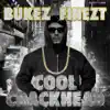 Stream & download The Cool Crackhead - Single