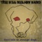Don't Talk to Strange Dogs - Bill Nelson Band lyrics