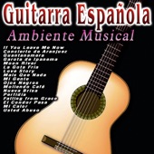 Guitarra Española: Ambiente Musical artwork