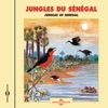 Jungles Of Senegal