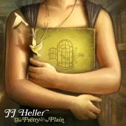The Pretty & the Plain - Jj Heller