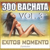 Bachata 300 Éxitos, Vol. 3: Bachata By Alegrìa artwork