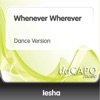 Whenever Wherever - Single