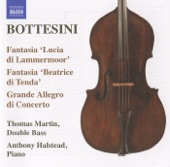 The Bottesini Collection, Vol. 3 artwork