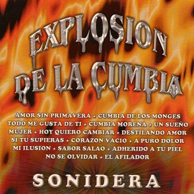 Cumbia Morena - Grupo Sonidero Show | Shazam