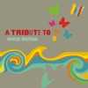 George Harrison Tribute Band - While My Guitar Gently Weeps