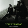 Vozes Trinadas - Loucos De Lisboa (João Monge E João Gil)