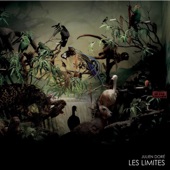 Les limites artwork