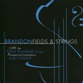 Fields and Strings artwork