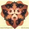 James Hollingsworth - Under the Influence of Love